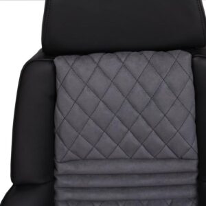 2 Recaro Orthopäd 04 Leder Armlehne Meisterqualität neu bezogen